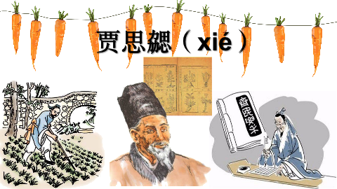 图片2：课程内容.png